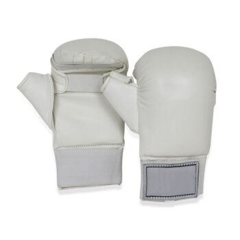 Karate Gloves