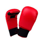 Karate Gloves