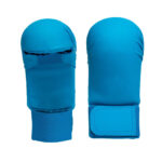 Karate Gloves