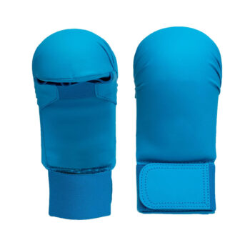 Karate Gloves