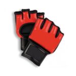 MMA Gloves