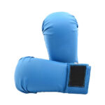 Karate Gloves