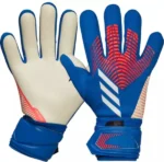 Goalkeeper Gloves